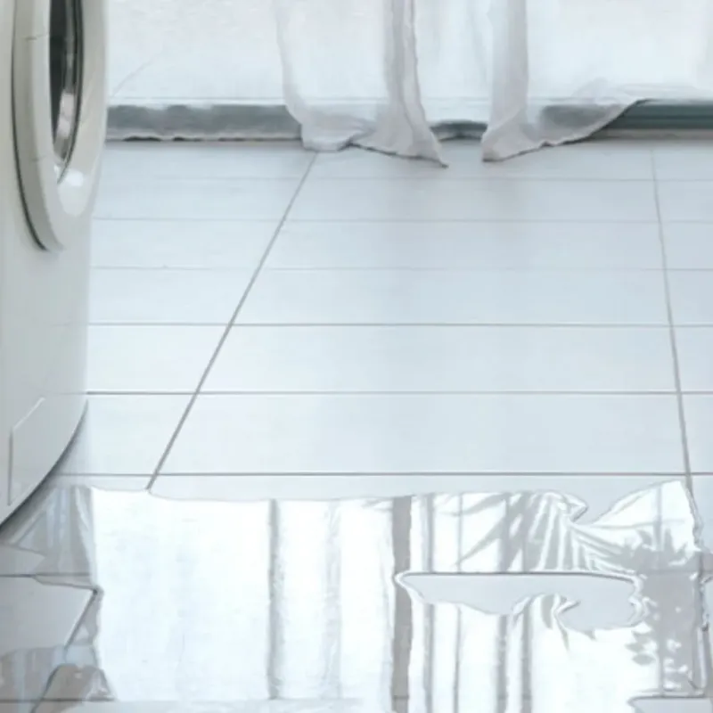Appliance Leak Cleanup in Coopersville, MI