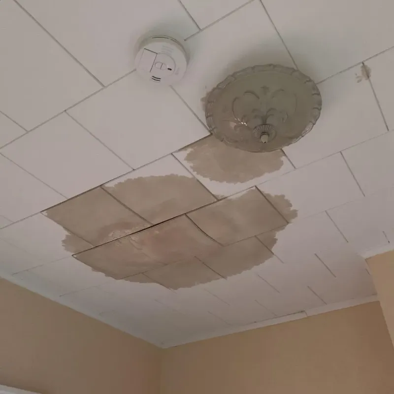 Ceiling Water Damage Repair in Coopersville, MI