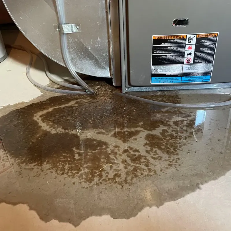 Pipe Burst and Leak Restoration in Coopersville, MI