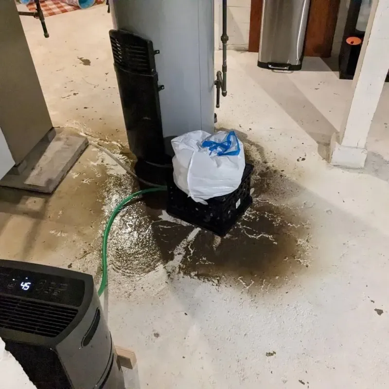 Sewage Backup Cleanup Service in Coopersville, MI